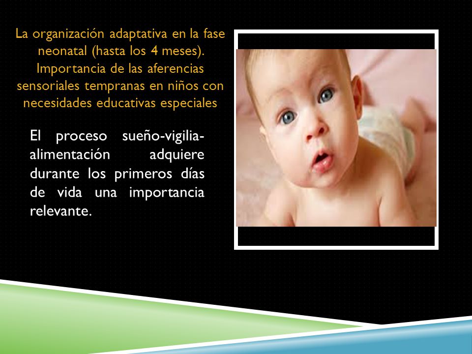 La organización adaptativa en la fase neonatal (hasta los 4 meses)