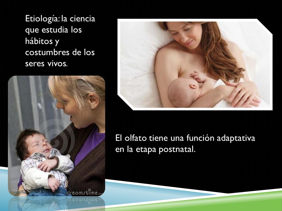 Etiología: la ciencia que estudia los hábitos y costumbres de los seres vivos.