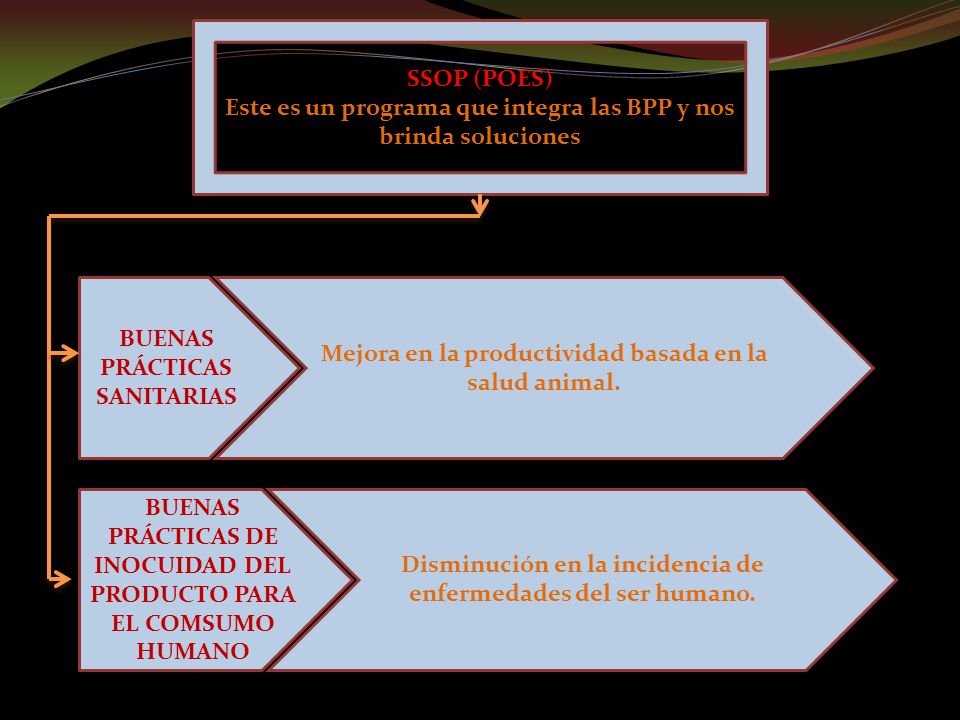 Este es un programa que integra las BPP y nos brinda soluciones