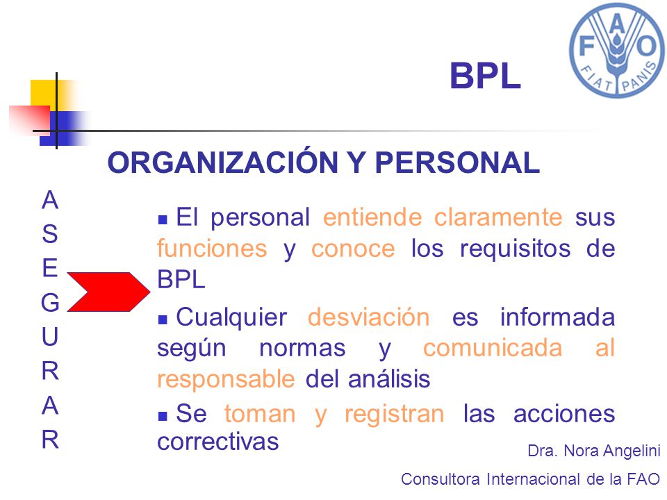 BPL ORGANIZACIÓN Y PERSONAL A S