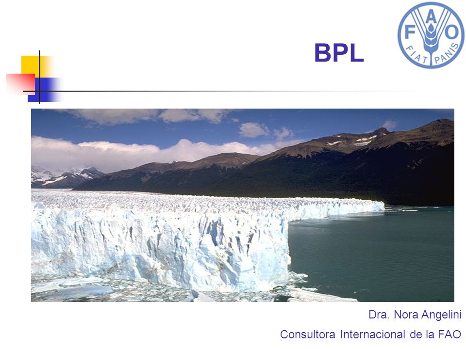 BPL Dra. Nora Angelini Consultora Internacional de la FAO