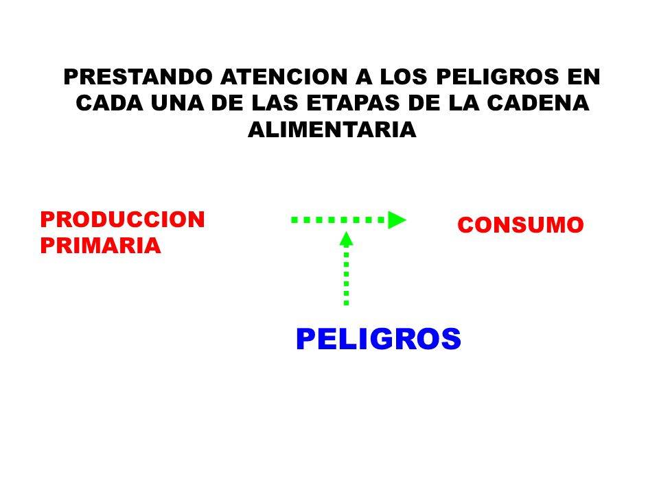 PRESTANDO ATENCION A LOS PELIGROS EN CADA UNA DE LAS ETAPAS DE LA CADENA ALIMENTARIA