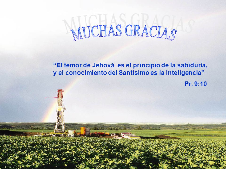 MUCHAS GRACIAS El temor de Jehová es el principio de la sabiduría, y el conocimiento del Santísimo es la inteligencia