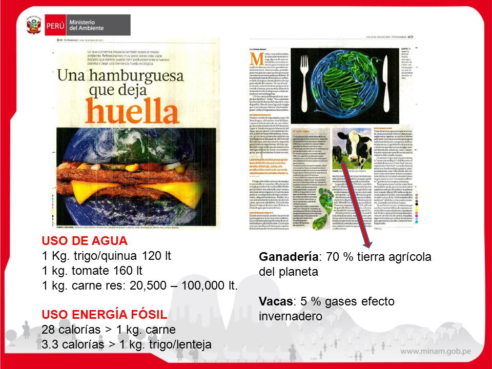 USO DE AGUA 1 Kg. trigo/quinua 120 lt. 1 kg. tomate 160 lt. 1 kg. carne res: 20,500 – 100,000 lt.