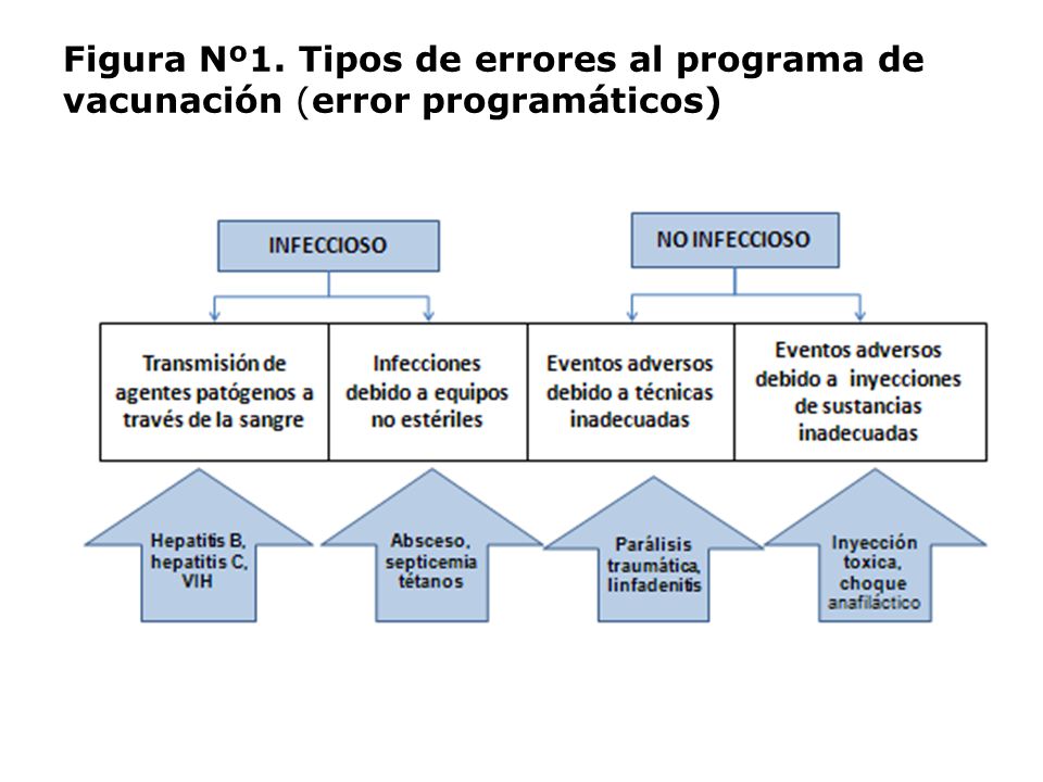 Figura Nº1. Tipos de errores al programa de vacunación (error programáticos)