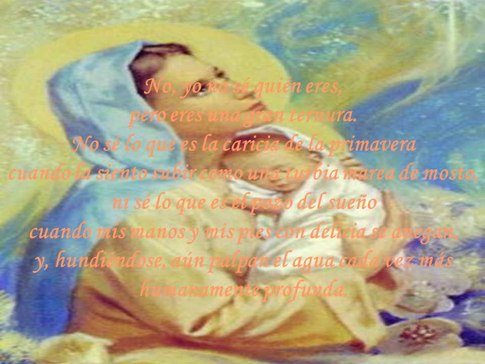 No, yo no sé quién eres, pero eres una gran ternura