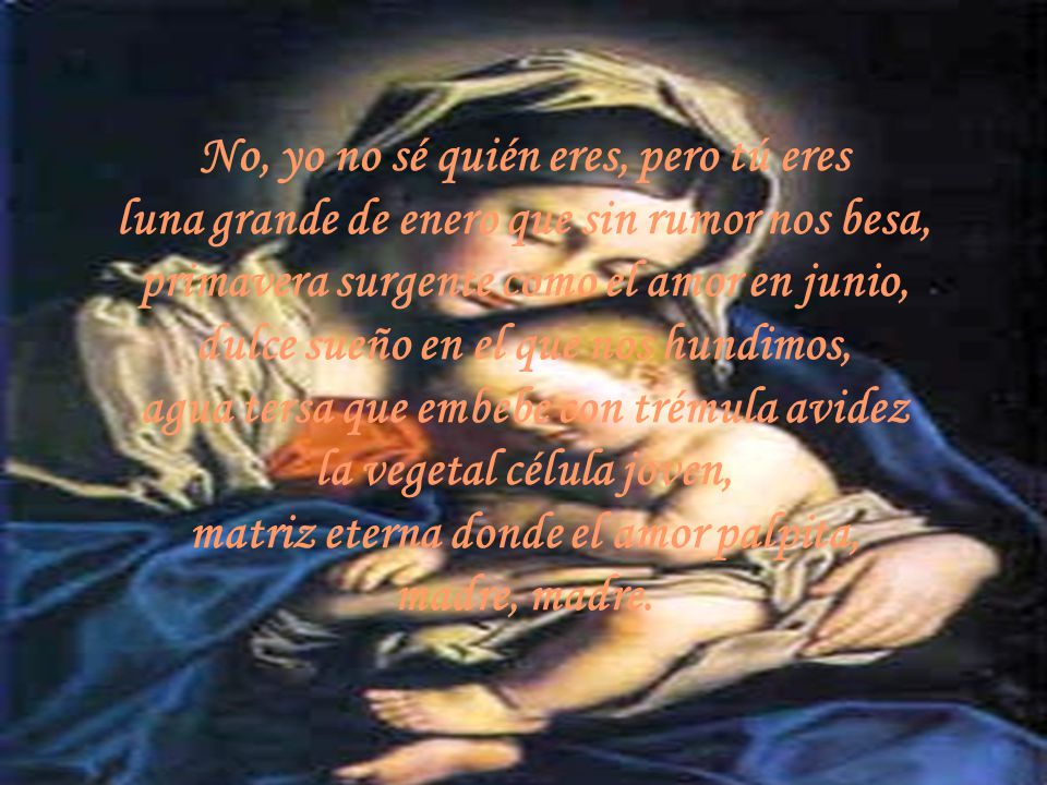 No, yo no sé quién eres, pero tú eres luna grande de enero que sin rumor nos besa, primavera surgente como el amor en junio, dulce sueño en el que nos hundimos, agua tersa que embebe con trémula avidez la vegetal célula joven, matriz eterna donde el amor palpita, madre, madre.