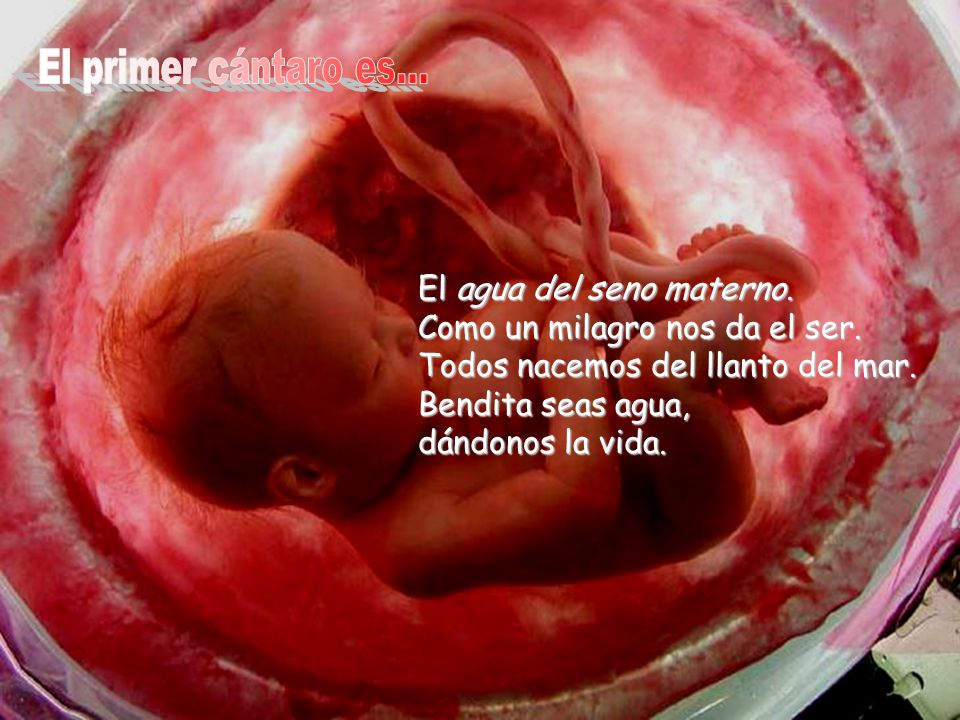 El primer cántaro es... El agua del seno materno. Como un milagro nos da el ser. Todos nacemos del llanto del mar.