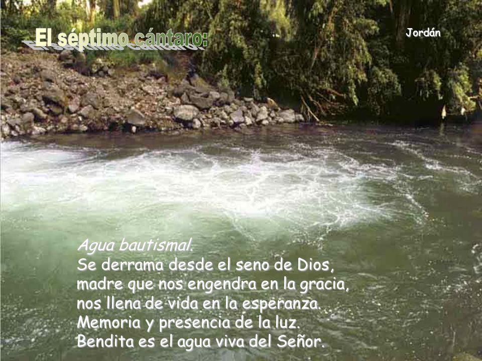 Memoria y presencia de la luz. Bendita es el agua viva del Señor.
