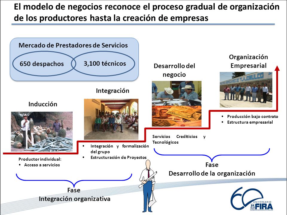 El modelo de negocios reconoce el proceso gradual de organización de los productores hasta la creación de empresas