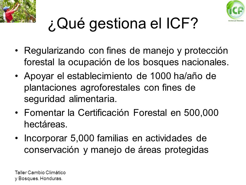 ¿Qué gestiona el ICF Regularizando con fines de manejo y protección forestal la ocupación de los bosques nacionales.