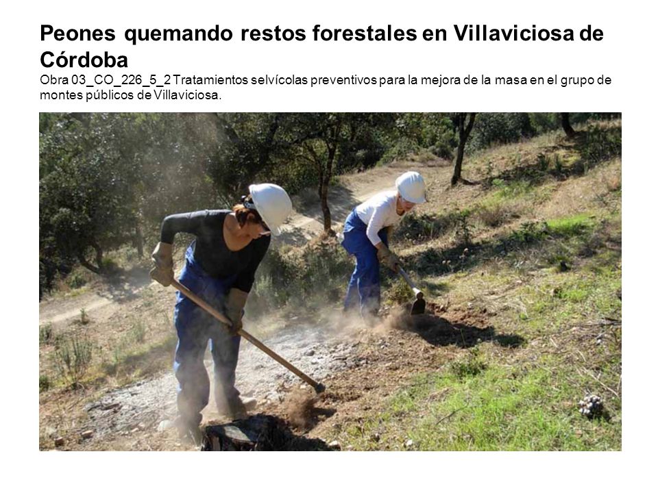Peones quemando restos forestales en Villaviciosa de Córdoba Obra 03_CO_226_5_2 Tratamientos selvícolas preventivos para la mejora de la masa en el grupo de montes públicos de Villaviciosa.