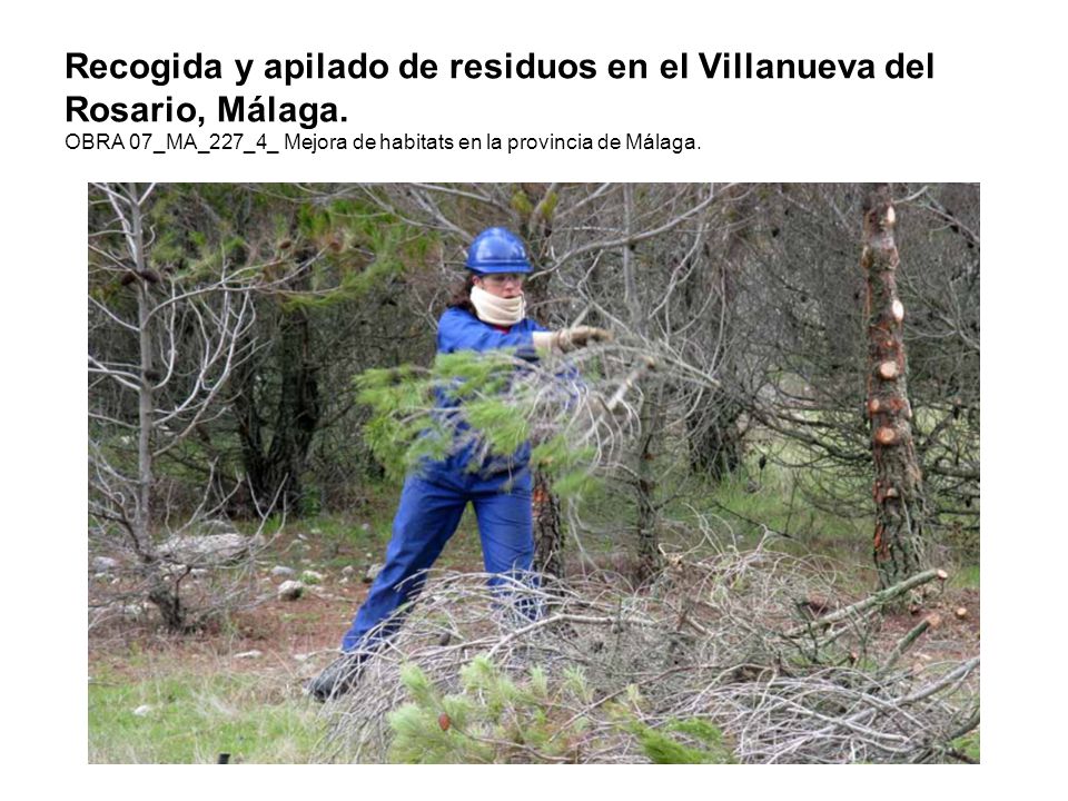 Recogida y apilado de residuos en el Villanueva del Rosario, Málaga