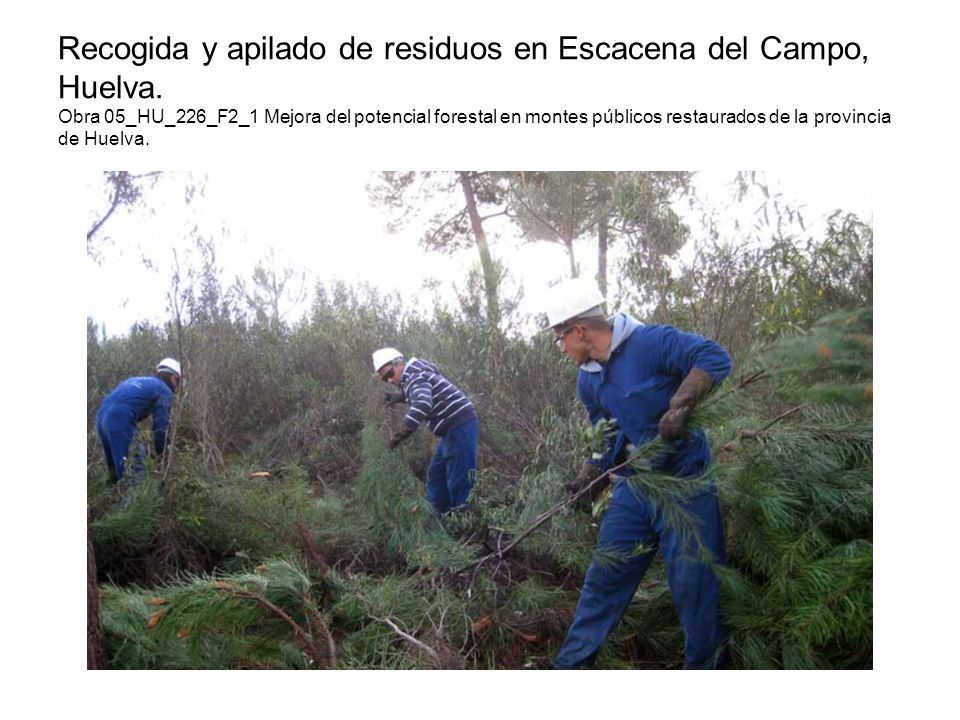 Recogida y apilado de residuos en Escacena del Campo, Huelva