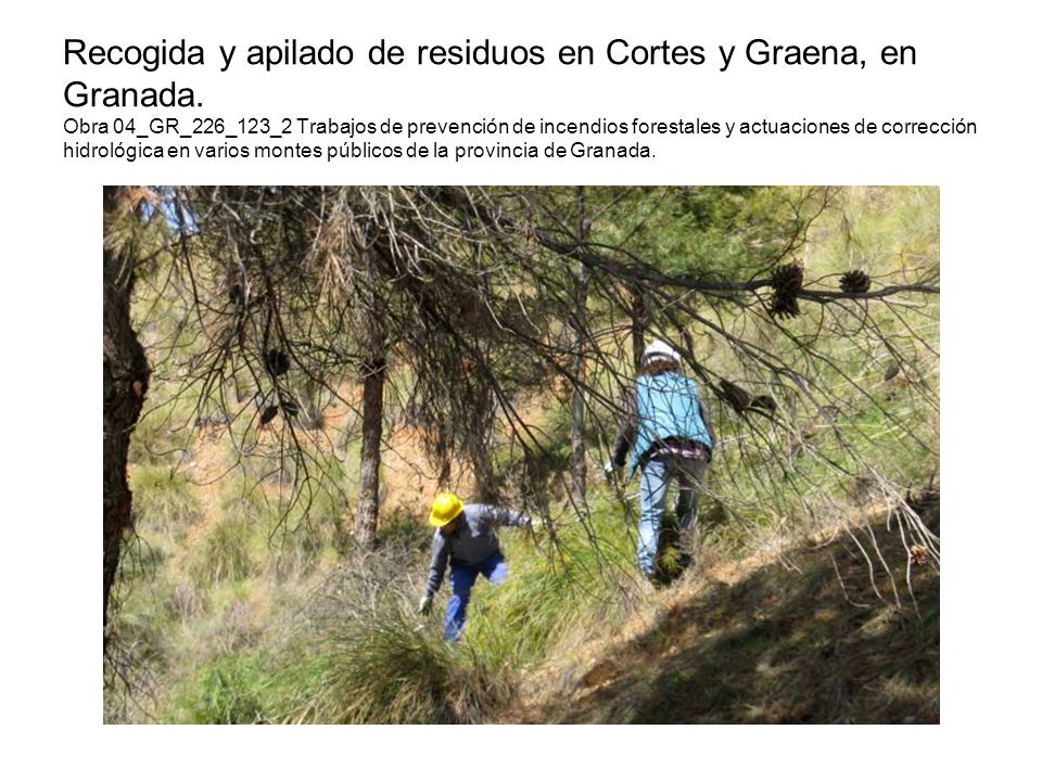 Recogida y apilado de residuos en Cortes y Graena, en Granada