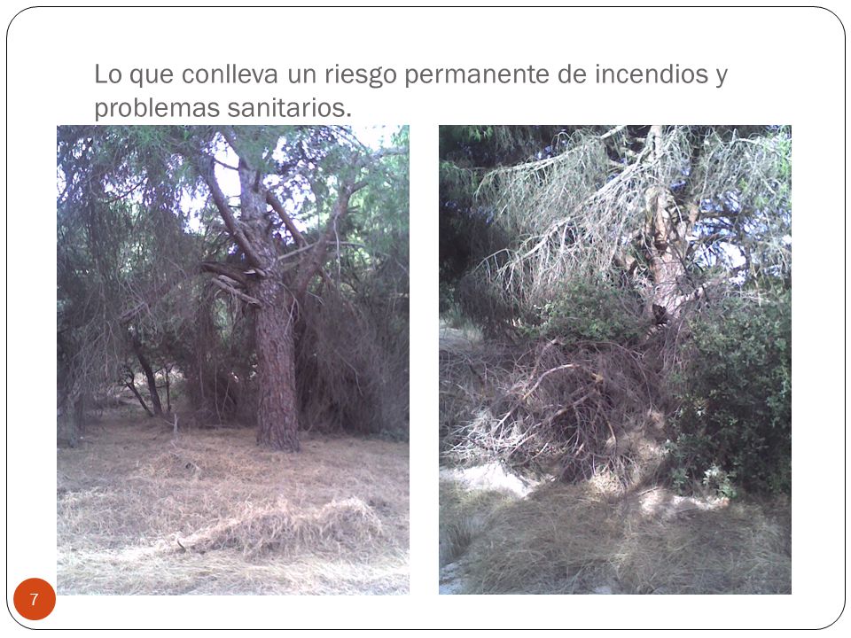 Lo que conlleva un riesgo permanente de incendios y problemas sanitarios.