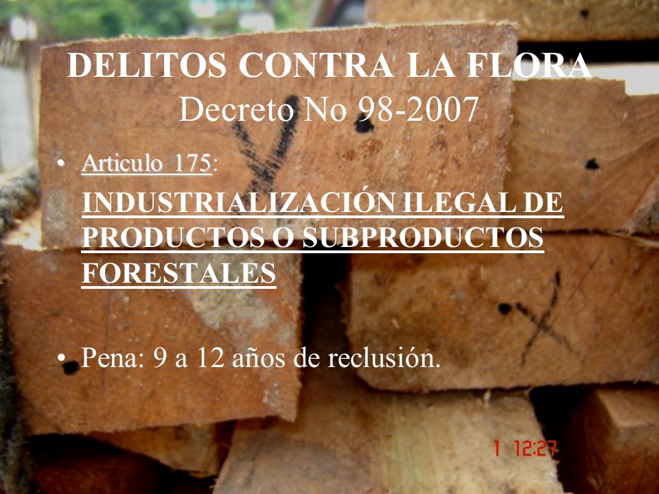 DELITOS CONTRA LA FLORA Decreto No