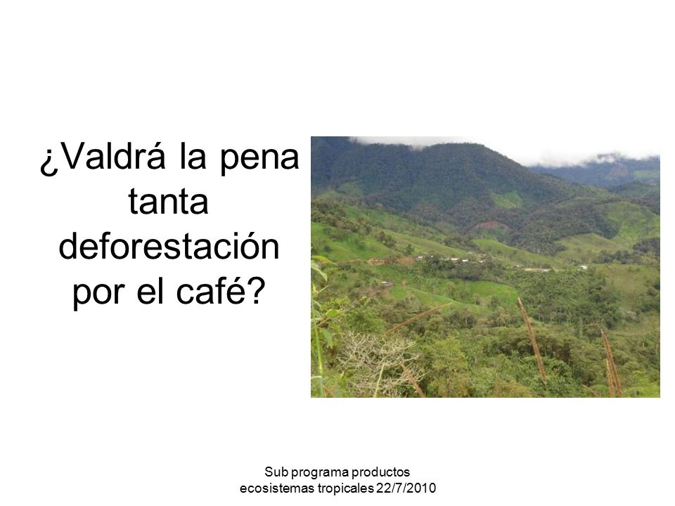 ¿Valdrá la pena tanta deforestación por el café