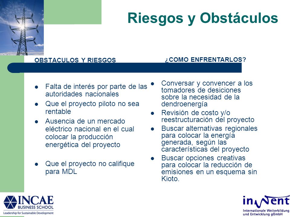 Riesgos y Obstáculos OBSTACULOS Y RIESGOS. Falta de interés por parte de las autoridades nacionales.