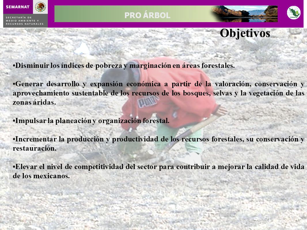 Objetivos Disminuir los índices de pobreza y marginación en áreas forestales.