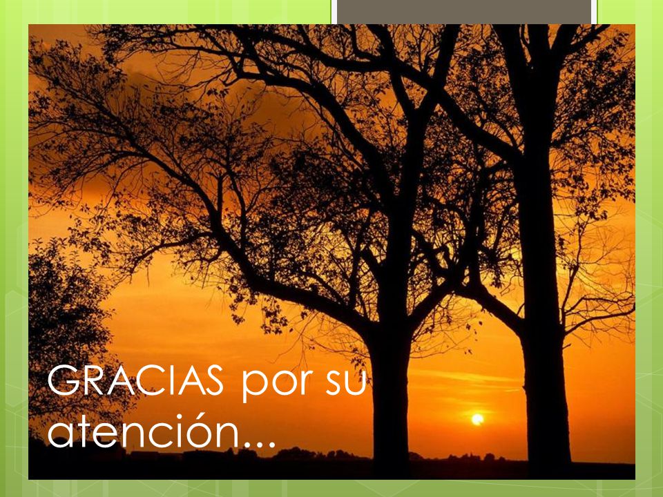 GRACIAS por su atención...