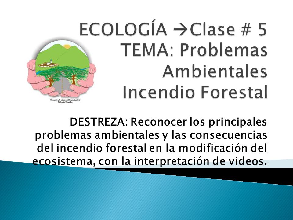 ECOLOGÍA Clase # 5 TEMA: Problemas Ambientales Incendio Forestal