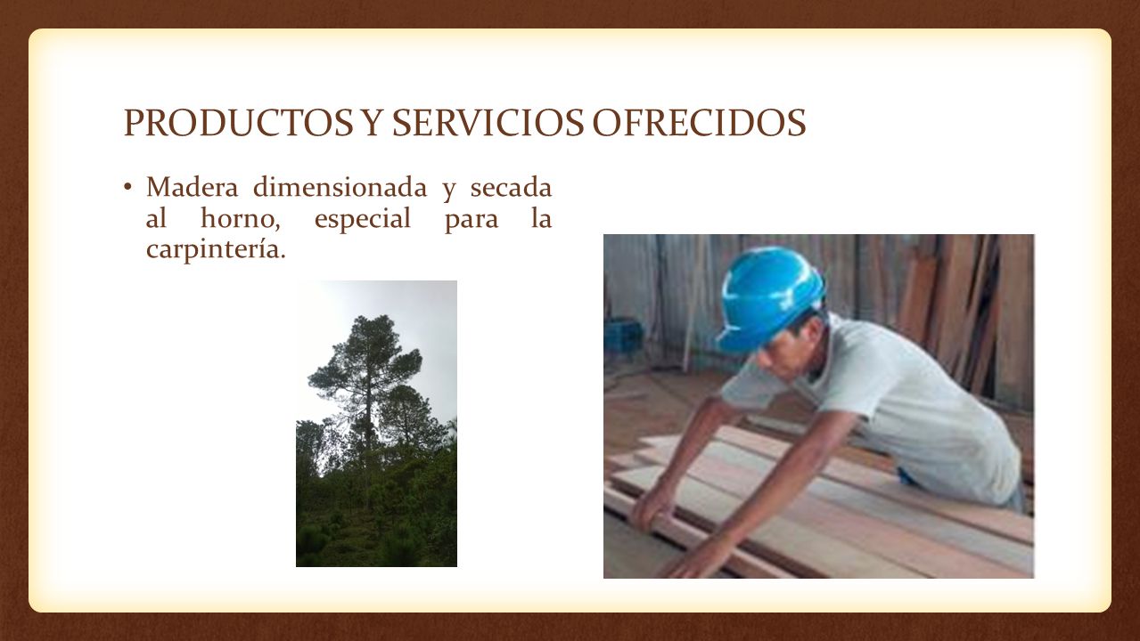 PRODUCTOS Y SERVICIOS OFRECIDOS