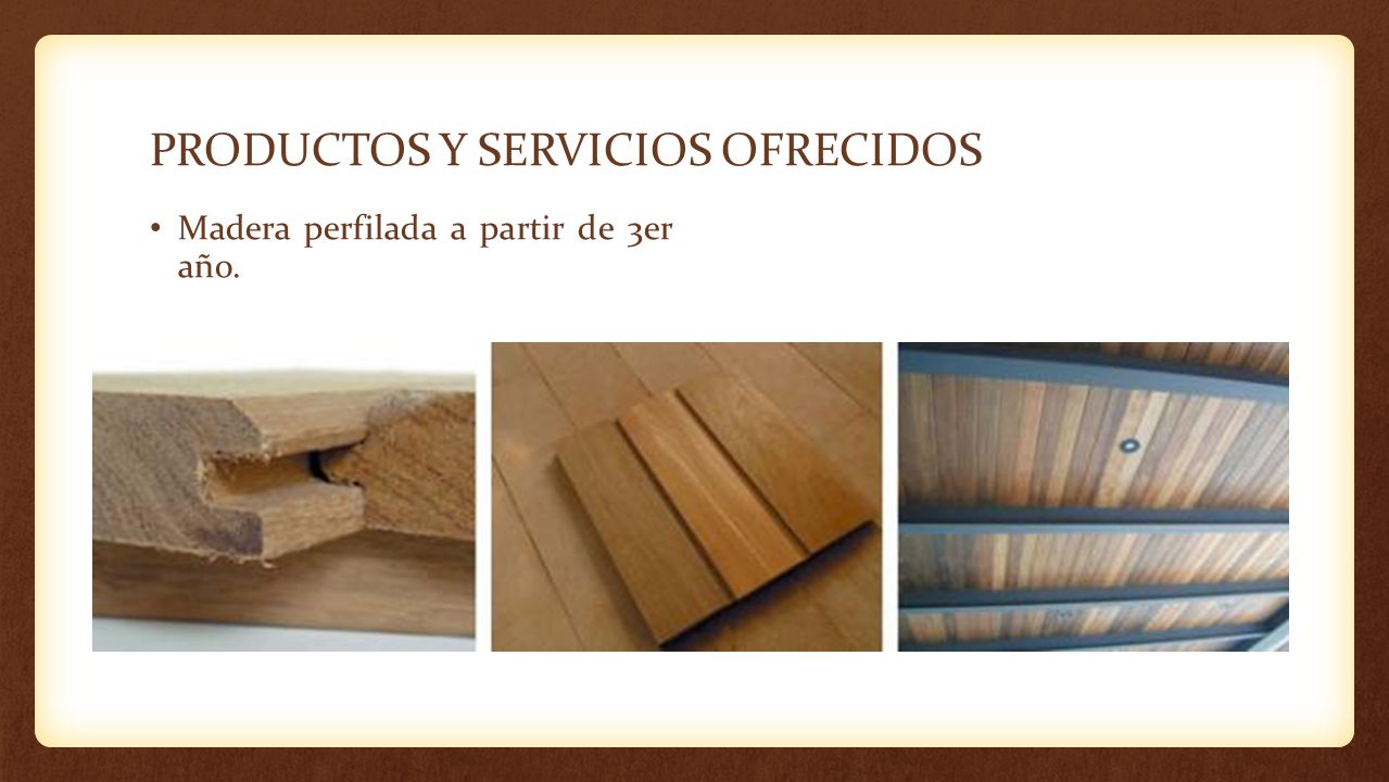 PRODUCTOS Y SERVICIOS OFRECIDOS