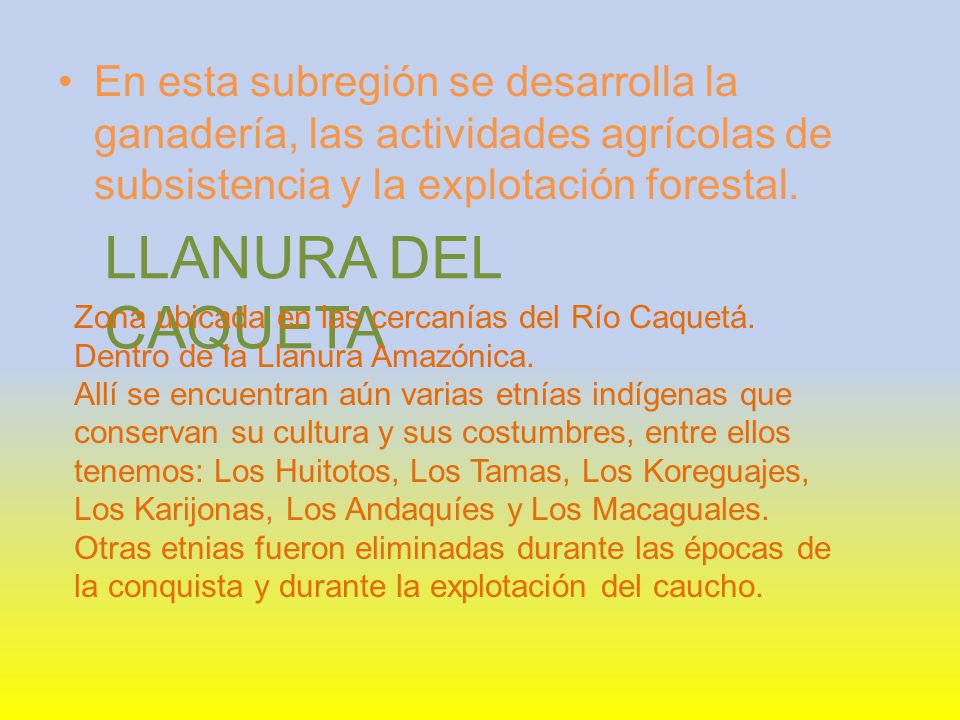 En esta subregión se desarrolla la ganadería, las actividades agrícolas de subsistencia y la explotación forestal.