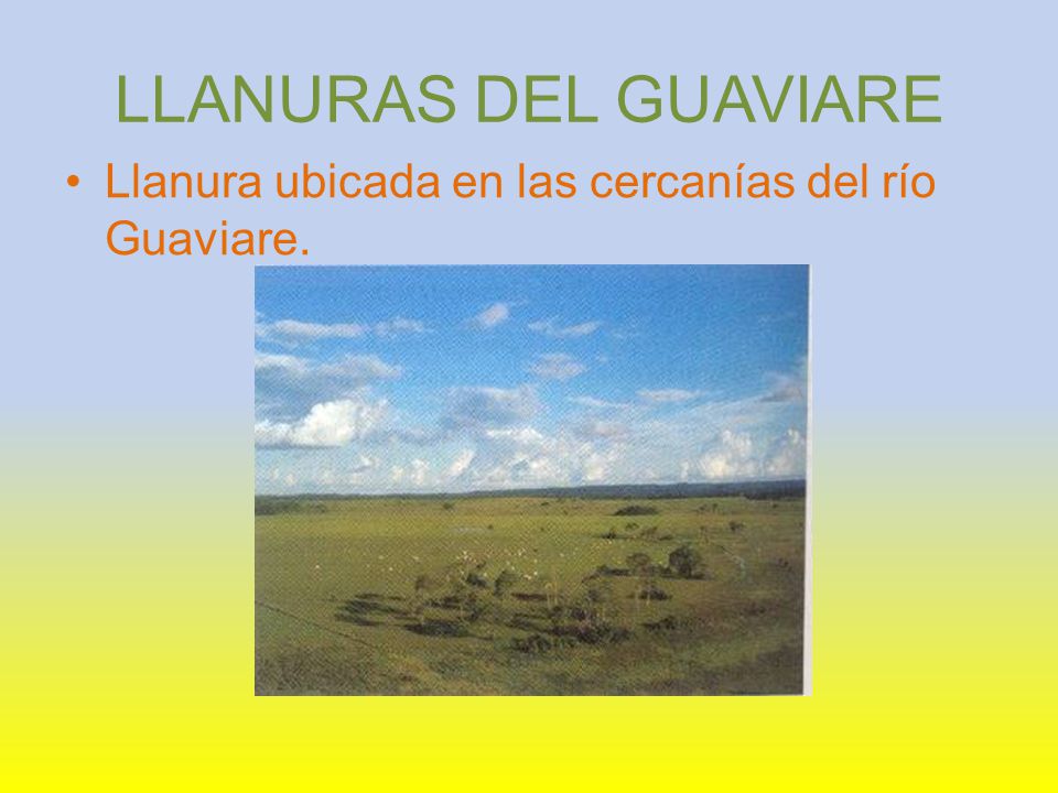 LLANURAS DEL GUAVIARE Llanura ubicada en las cercanías del río Guaviare.