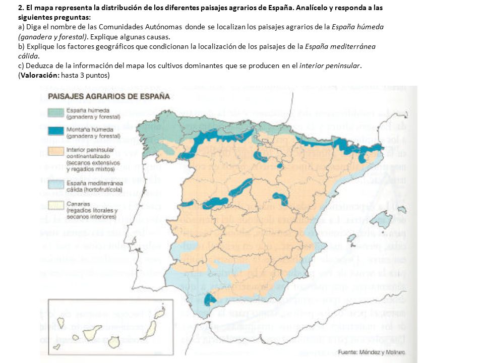 2. El mapa representa la distribución de los diferentes paisajes agrarios de España. Analícelo y responda a las