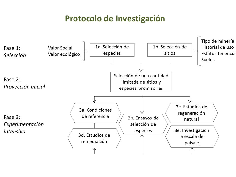 Protocolo de Investigación