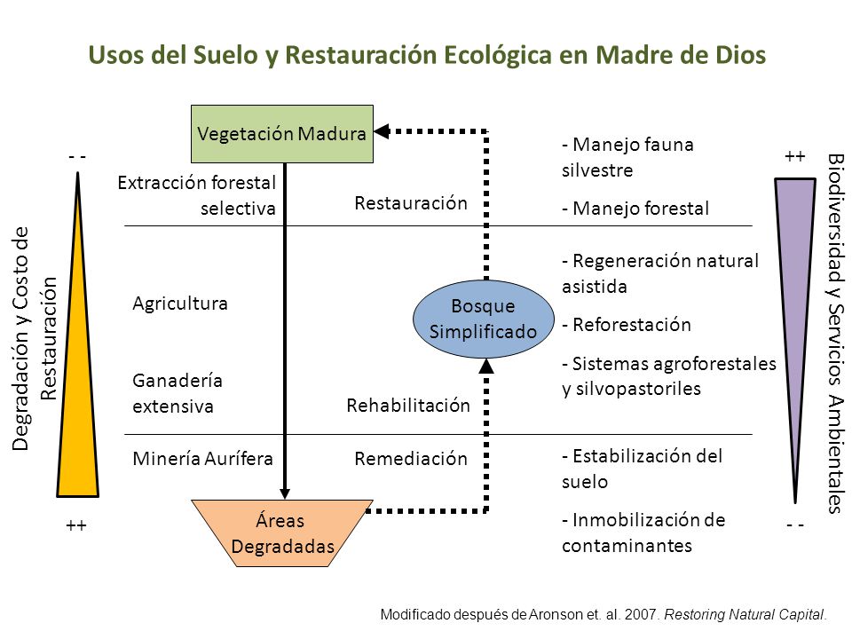 Usos del Suelo y Restauración Ecológica en Madre de Dios