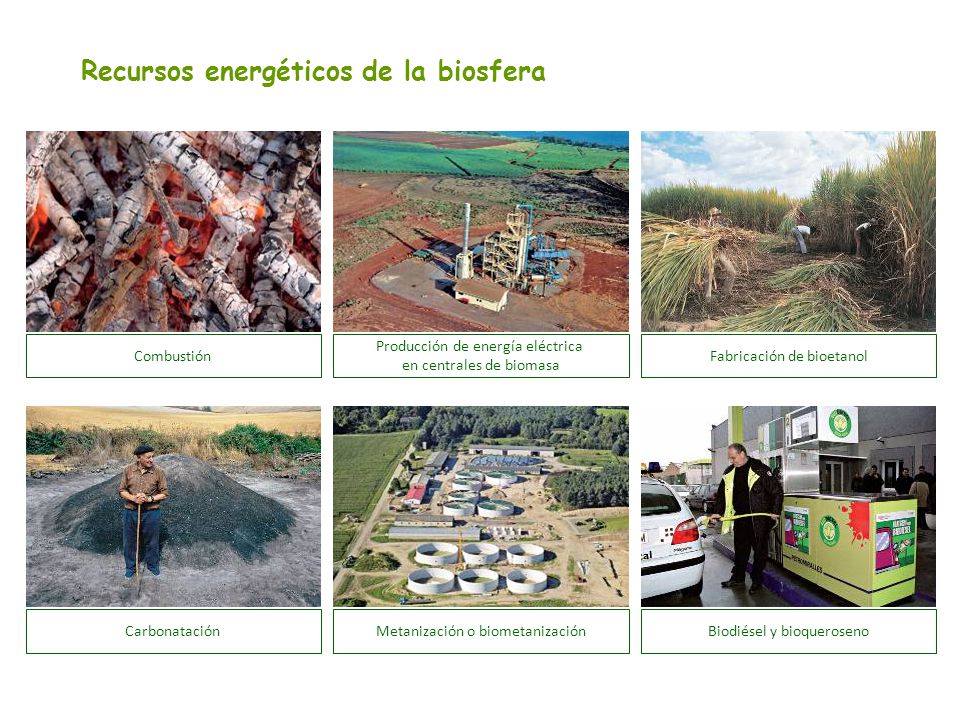 Recursos energéticos de la biosfera
