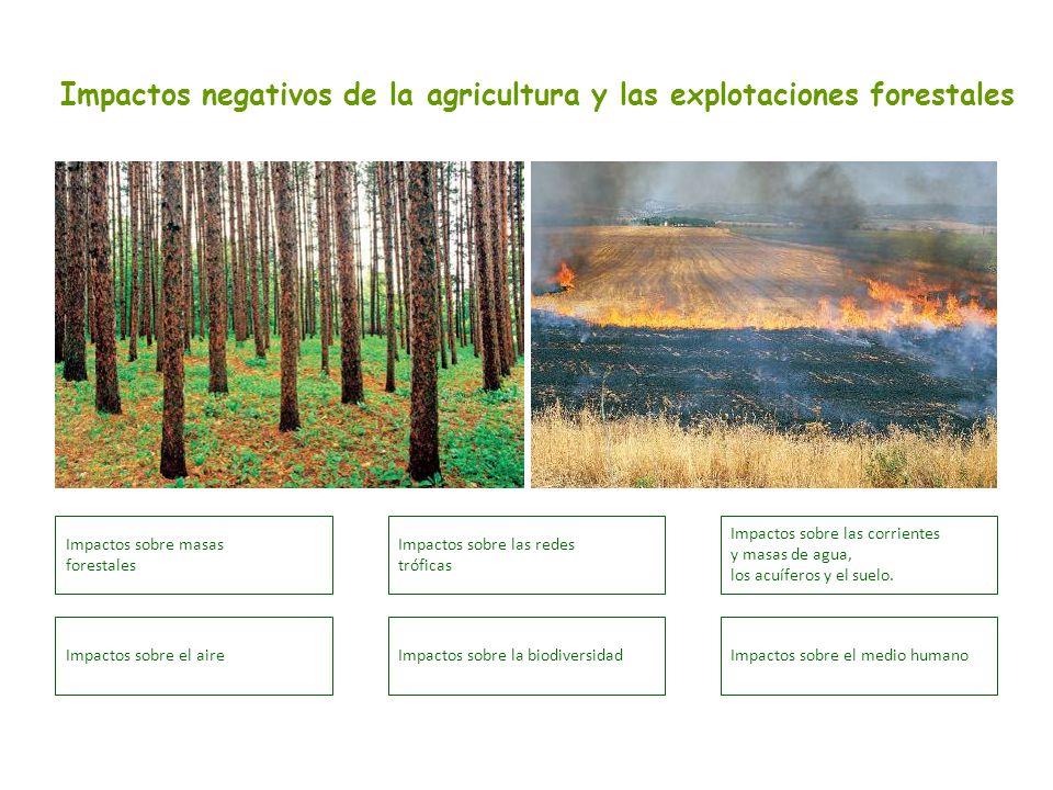 Impactos negativos de la agricultura y las explotaciones forestales