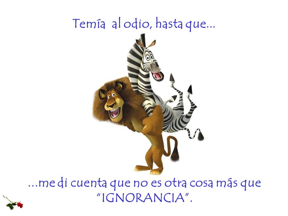 ...me di cuenta que no es otra cosa más que IGNORANCIA .