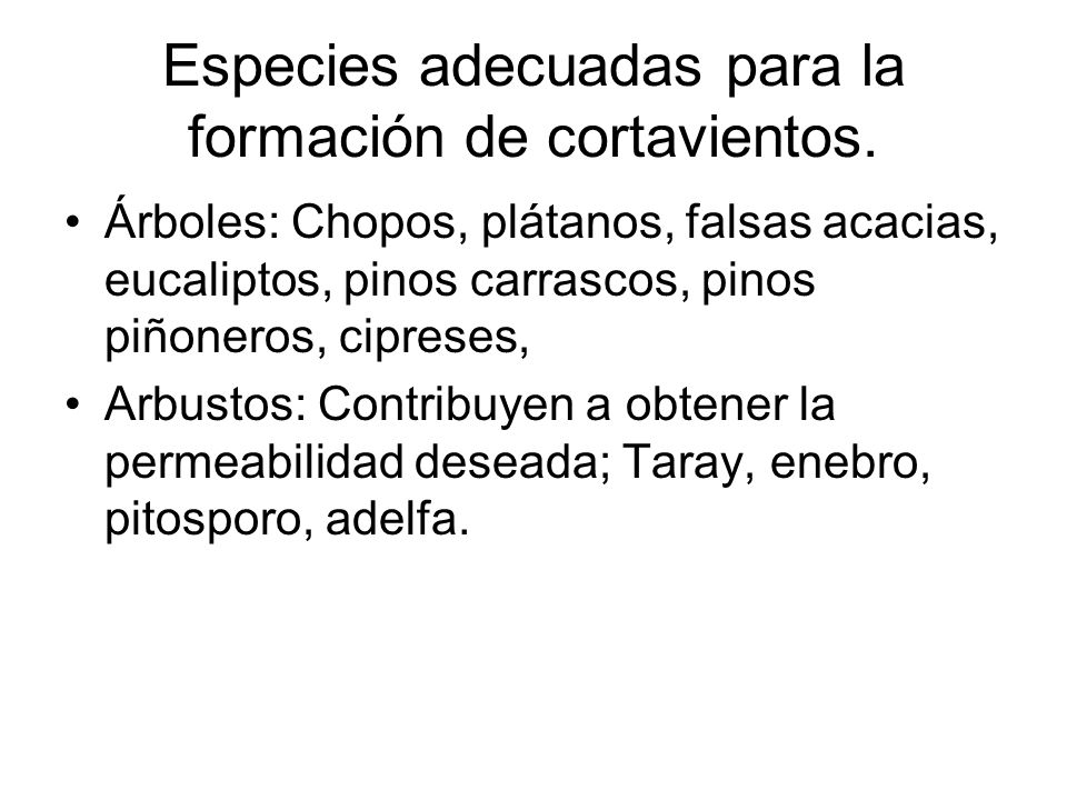 Especies adecuadas para la formación de cortavientos.