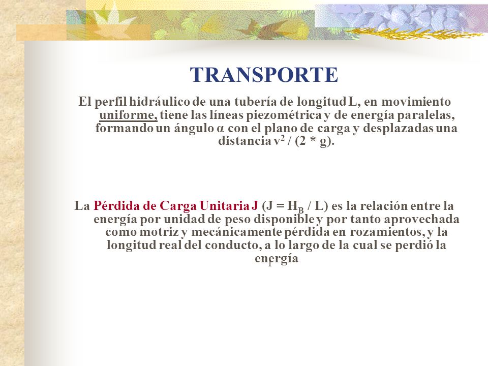 TRANSPORTE