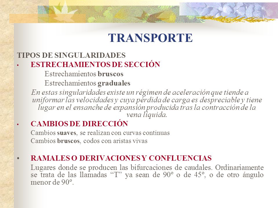 TRANSPORTE TIPOS DE SINGULARIDADES ESTRECHAMIENTOS DE SECCIÓN