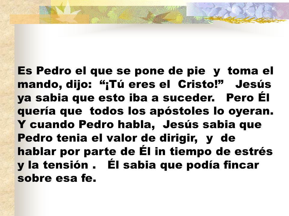 Es Pedro el que se pone de pie y toma el mando, dijo: ¡Tú eres el Cristo! Jesús ya sabia que esto iba a suceder.