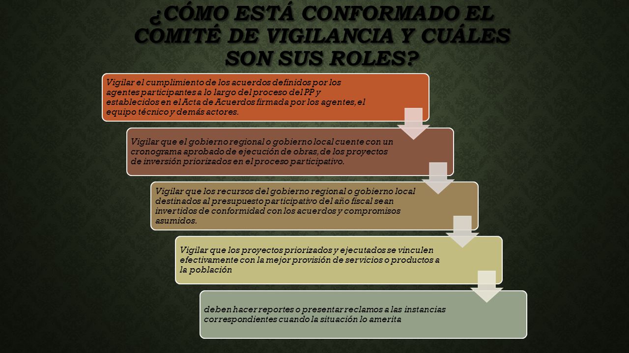 ¿Cómo está conformado el Comité de Vigilancia y cuáles son sus roles
