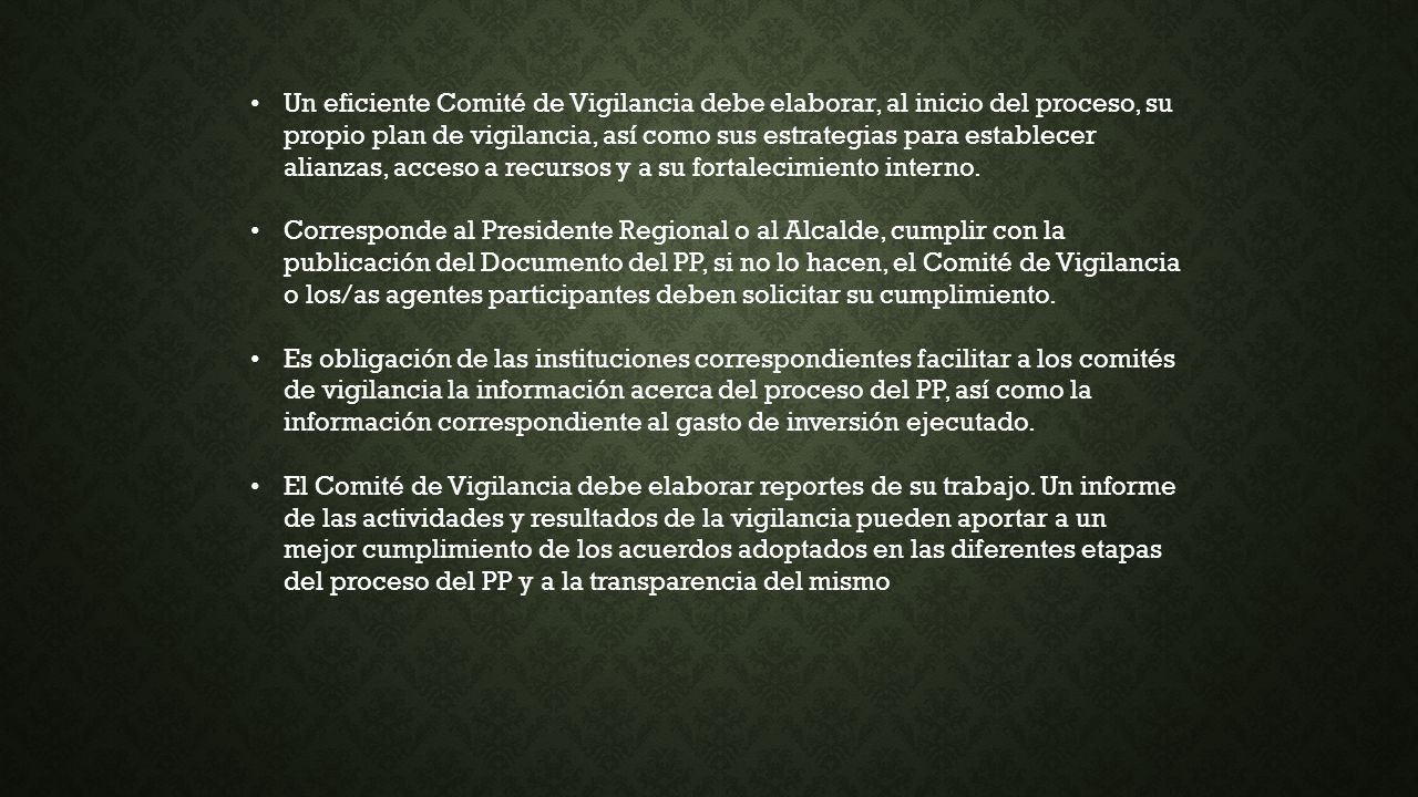 Un eficiente Comité de Vigilancia debe ela­borar, al inicio del proceso, su propio plan de vigilancia, así como sus estrategias para establecer alianzas, acceso a recursos y a su fortalecimiento interno.