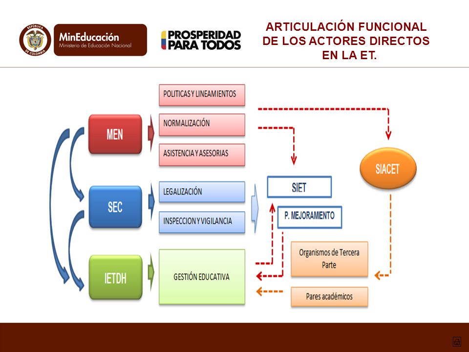 ARTICULACIÓN FUNCIONAL DE LOS ACTORES DIRECTOS