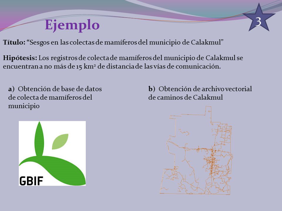 3 Ejemplo. Título: Sesgos en las colectas de mamíferos del municipio de Calakmul