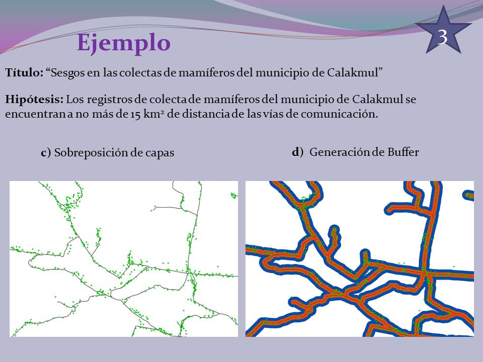 3 Ejemplo. Título: Sesgos en las colectas de mamíferos del municipio de Calakmul