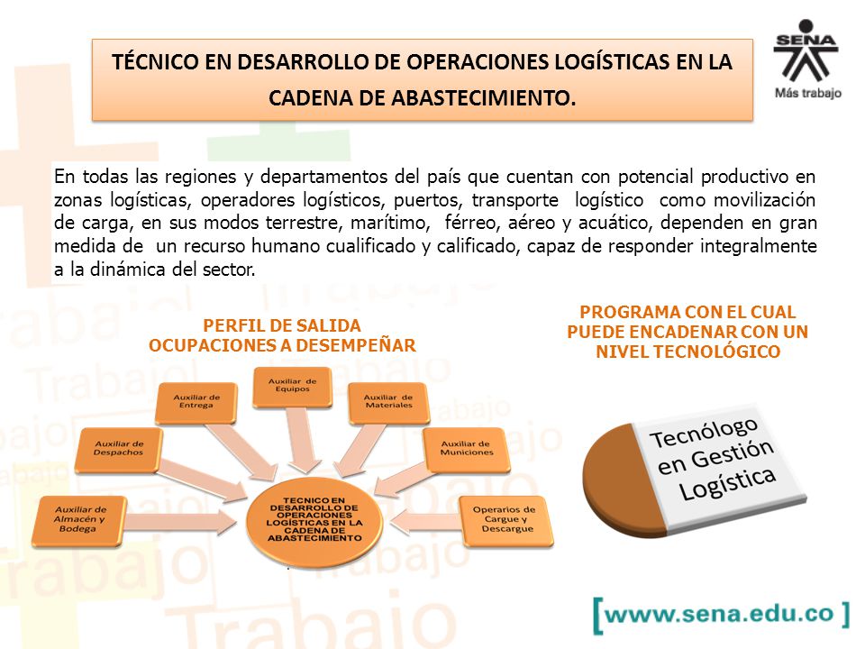 TÉCNICO EN DESARROLLO DE OPERACIONES LOGÍSTICAS EN LA CADENA DE ABASTECIMIENTO.