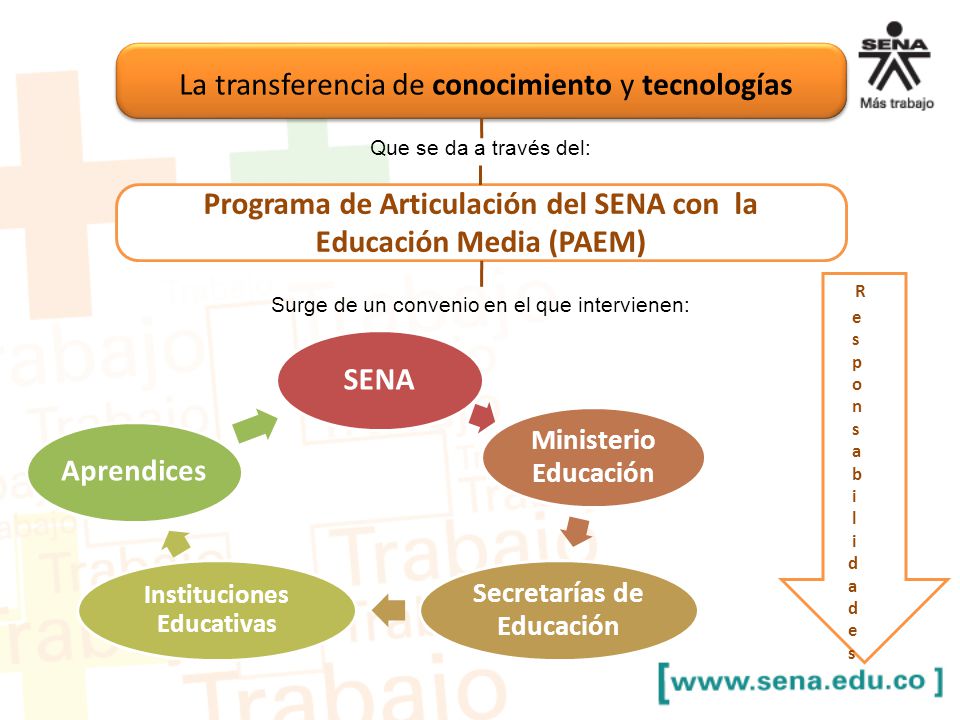 Programa de Articulación del SENA con la Educación Media (PAEM)