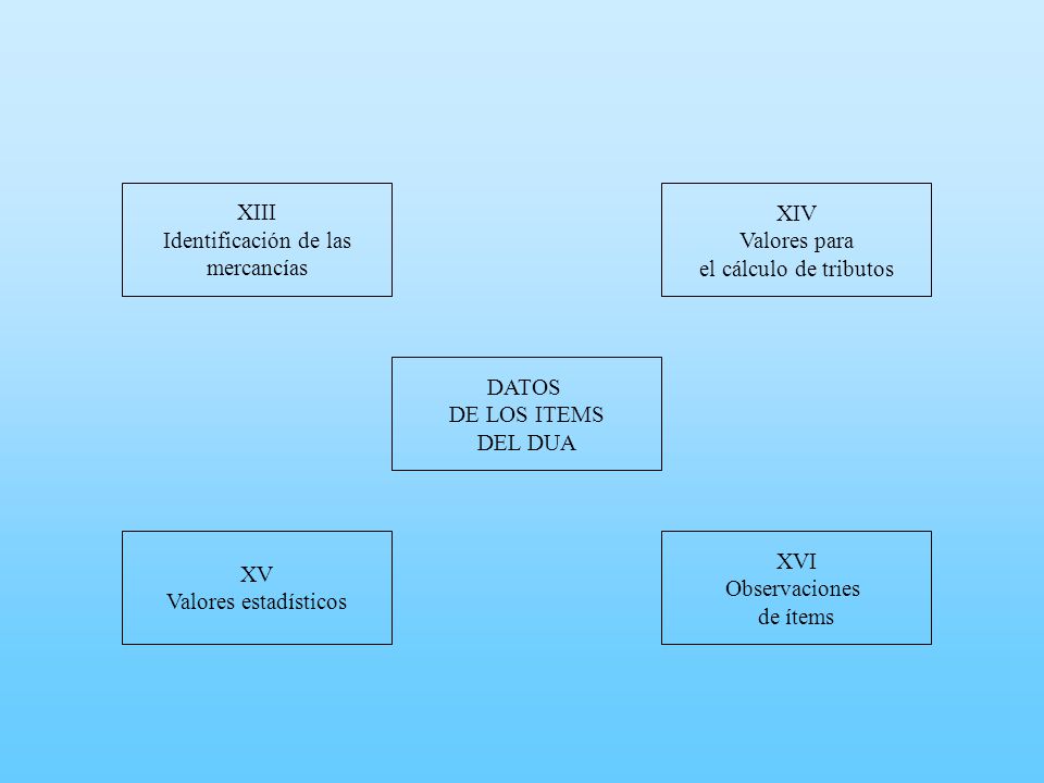 XIII Identificación de las. mercancías. XIV. Valores para. el cálculo de tributos. DATOS. DE LOS ITEMS.