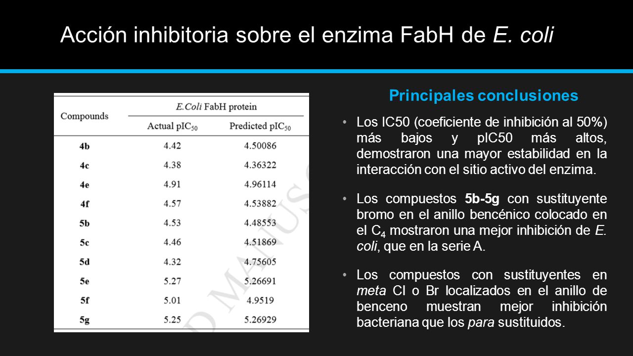 Acción inhibitoria sobre el enzima FabH de E. coli