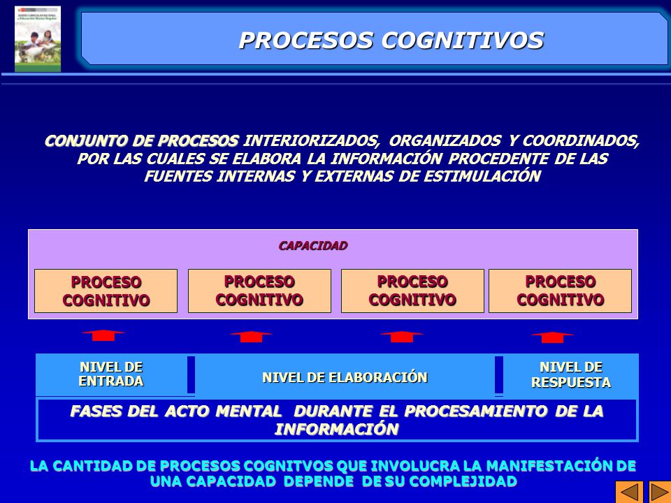 FASES DEL ACTO MENTAL DURANTE EL PROCESAMIENTO DE LA INFORMACIÓN